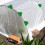 Versatile Plastic Clips 100 PCS for Garden Shed Solar Shade Net 11mm/0.43in 7