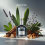 LATTAFA Lattafa Pride Sur Mesure Noir 100ml Eau de Parfum For Unisex 3
