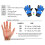 Typ 7 Blau Größe 7 Kinder Torwart-Handschuhe 300 g 3