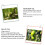 Feuchtigkeitsspendendes Ellenbogen-Gel-Pad, Peeling-Gel 6
