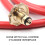 Propane Torch Head Kit for Weeding Heating & Ice Melting, 2m Hose 2