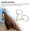 Stainless Steel Wrapped Loose Circular Ring Horse Snaffle Bit Mouth For Training 3