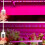 LED-Wachstumsleuchte Vollspektrum 3m Induktionslicht 5V 11