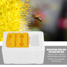 Box Beekeeping Pollination Tool With Whitewashed Temperature-Controlled Box