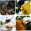 Bee Boxes with Water Feeders 4-Frame Hive Box Rotating Outlet Mini Foam Style 1 3