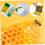 Bee Boxes with Water Feeders 4-Frame Hive Box Rotating Outlet Mini Foam Style 1 2