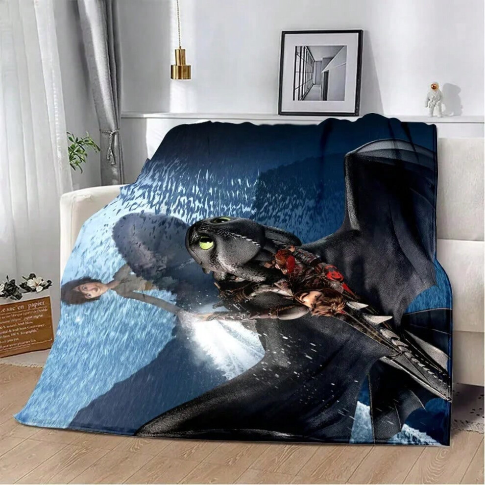 (10, 150x220CM60x88inch) Lovely couple Toothless Fury Dragon Printed Blanket Picnic Blankets Warm Blanket Soft and Comfortable Home Travel Birthday Gi-image-OPC-PJH5JBR-NEW
