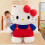 (Pink,40cm)Sanrio Hello Kitty Cartoon Plüschtier Stofftier abnehmbar beruhigend Kinder Geschenk 4