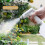 Household Automatic Spray Bottle for Planting Usb Rechargeable Water Sprayer 2