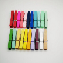 200 Stück bunte Holz-Fotoclips 2,5 x 0,3 cm