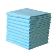 Disposable Care Pads For Pets, Absorbent Incontinence Pads, Lightweight For Postpartum & Seniors - 10-Pack, Ultra-Thin