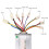 Gebürsteter Controller 48V 800W Aluminiumlegierung 9.9oz 4