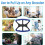 Disability Lift Assist Device Lightweight Non Slip Handle Standing Aid 4