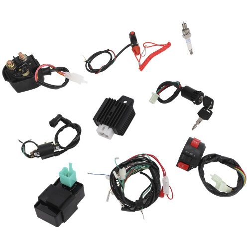 Electrics Wiring Harness Loom Regulator Spark Plug 2