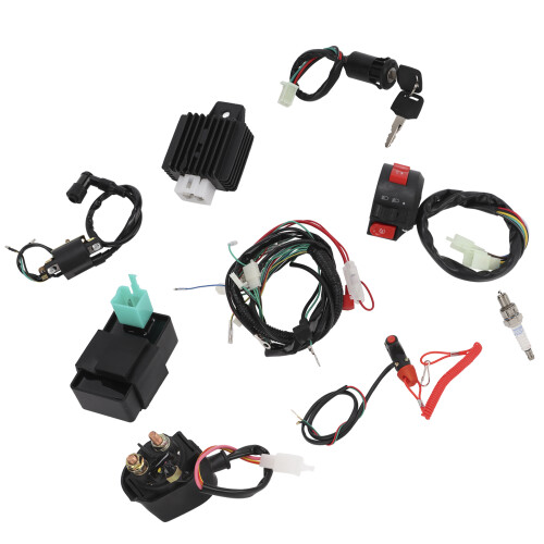 Electrics Wiring Harness Loom Regulator Spark Plug 1