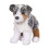 Douglas Douglas Steward Australian Shepherd Dog   e???d??a ?e  ?st? ??? 1