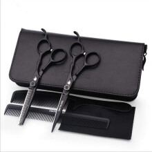 6.0 Inch Professional Hair Cutting Shears/Scissors and Barber Thinning/Texturing Scissor with Scissor Bag and Hair Comb