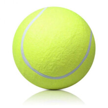 Pet Training Ball Toy Dog Interative Toy Fun Tennis Ball for Cat Teaser Toy for