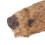 Tricks Spring Waschbär-Spielzeug - 50x9 cm Plüsch/Metall 13