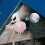 Halloween Inflatable Ghost With LED Lights Coming Out From Window Outdoor Decor 5