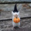 (A) Halloween Christmas Cane Birthday Cake Christmas Hat 1