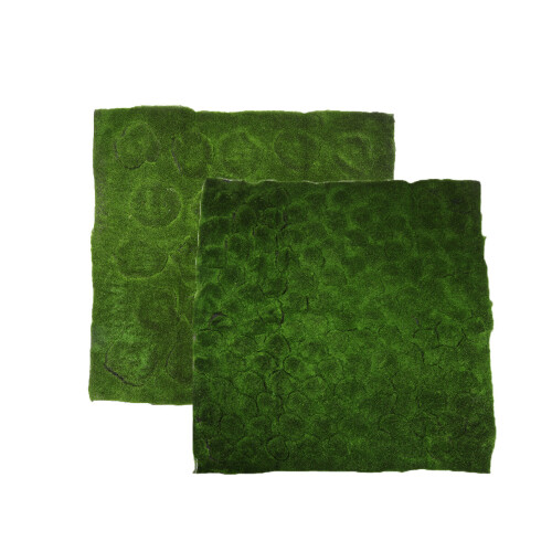 Artificial Moss Mat DIY Landscape Flat Grass Lawn Turf Plants Shop Home Decor 1