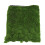 Artificial Moss Mat DIY Landscape Flat Grass Lawn Turf Plants Shop Home Decor 5