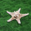 Artificial Moss Mat DIY Landscape Flat Grass Lawn Turf Plants Shop Home Decor 6