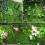 (Type1) Green Plant Wall Background Wall Plastic Simulation Plant Lawn Wall 5