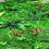(Type3) Green Plant Wall Background Wall Plastic Simulation Plant Lawn Wall 9