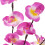 (White) Battery Supply 20LED Bendable Phalaenopsis Flower Branch Tree String Light Christmas Party Decor 4
