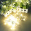 (110V) 100 LED 10m Warm White String Decoration Light for Christmas Decorations Clearance Christmas Lights 9
