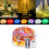 (Blue) Battery Powered 5M 50LEDs Waterproof Copper Wire Fairy String Light for Christmas +Remote Control 3