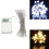 (Cool White) AA Battery Mini 30 LEDs Cool/Warm White Christmas String Fairy Lights 13