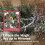 Homcom (XXS) HOMCOM Christmas Tree with Flocked Realistic Tips, Hinged Xmas Tree 6