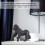 PVC Artificial Animal Model Chimpanzee Toys 8