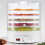Small Food Dehydrator Machine for Jerky Fruits Veggies, Plastic, 1500g 8