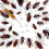 5pcs Cockroach Bait Gel Cockroach Killer Living Room Interior Special Bait Agent 5