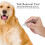 Stainless Steel Pet Dog Cat Tick Removal Fork 9