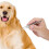 Stainless Steel Pet Dog Cat Tick Removal Fork 3