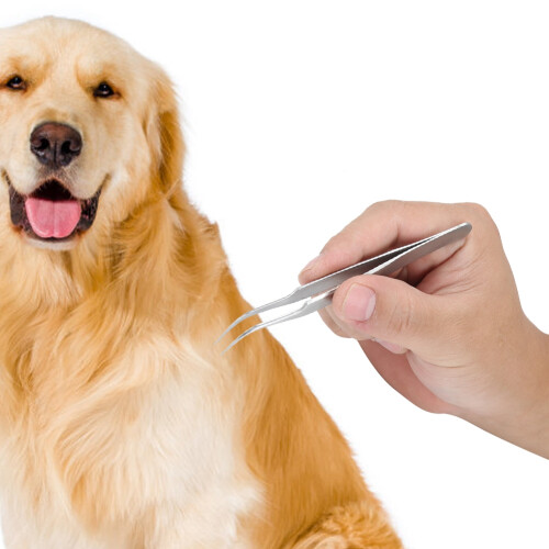 Stainless Steel Pet Dog Cat Tick Removal Fork 2