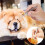 Stainless Steel Pet Dog Cat Tick Removal Fork 5