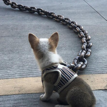 Dog Lead Chain for Large Dogs, Durable Funny Chain Dog Leads, Heavy-Duty Training Leash for Puppies and All Breeds