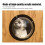 Pets Semicircular Fence Cover Acrylic Transparent 12
