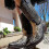 (48) Python Western Boot Colorblock Embroidery Men Boots Fashion Modern Shoes 2