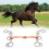 Stainless Steel Horse Snaffle Training Snaffle Bit 10