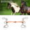 Stainless Steel Horse Snaffle Training Snaffle Bit 12