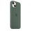 (Eucalyptus) Silicone Case With Magsafe For Iphone 13 Phone Case 2