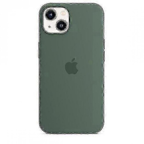 (Eucalyptus) Silicone Case With Magsafe For Iphone 13 Phone Case