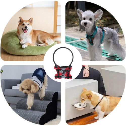 Blind Dog Bumper Ring Set | Adjustable Lightweight Anti-Collision Safety Device for Home Use - Red 2